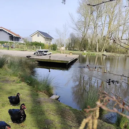 Relaxant Au Bord De L'eau *
