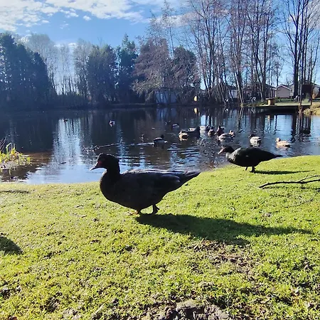 Relaxant Au Bord De L'eau *