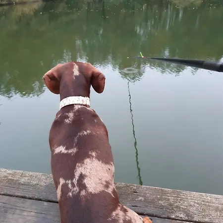 Шале Relaxant Au Bord De L'eau
