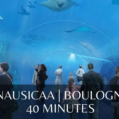 Relaxant Au Bord De L'eau