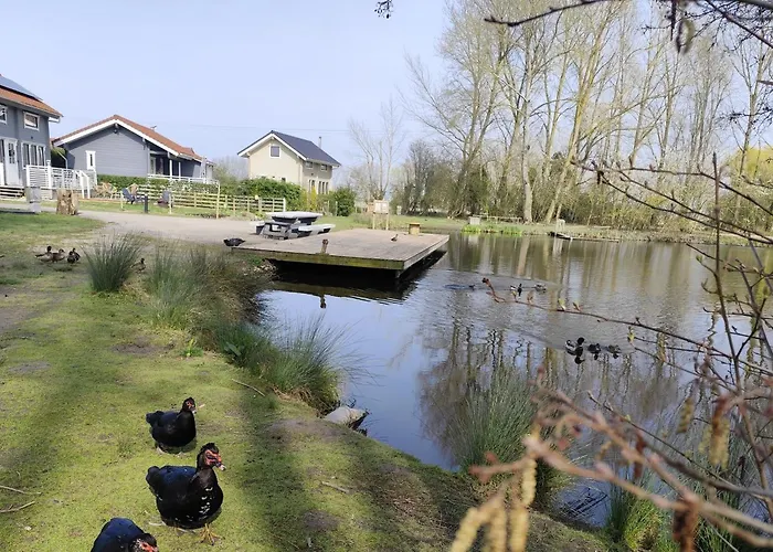 Au Bord De L'eau *