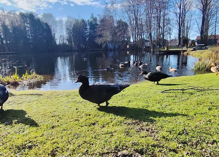 Au Bord De L'eau *